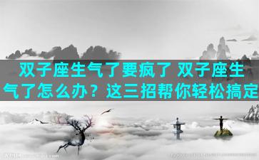 双子座生气了要疯了 双子座生气了怎么办？这三招帮你轻松搞定